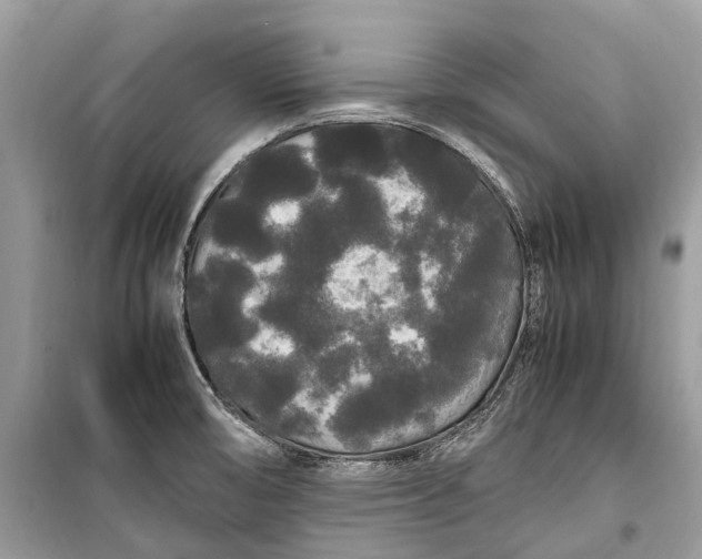 X0000099311474200805161401