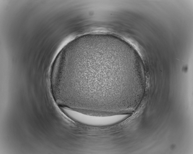 X0000099311475200805161401