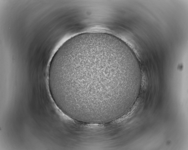 X0000099311478200805161401