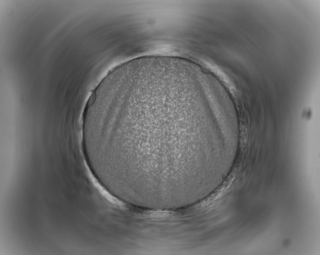 X0000099311479200805161401