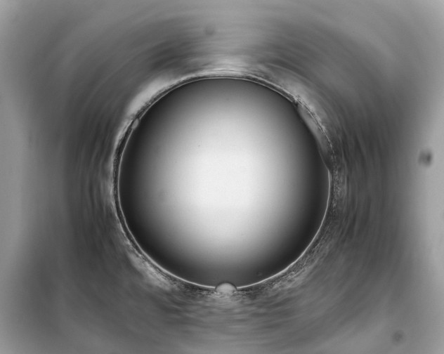 X0000099311480200805161401