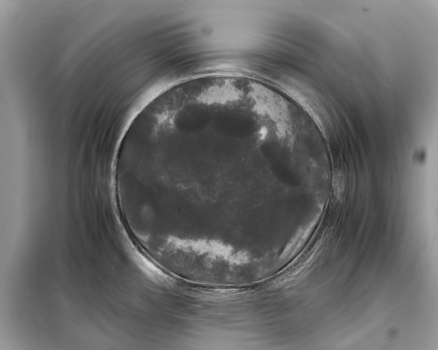 X0000099311482200805161401