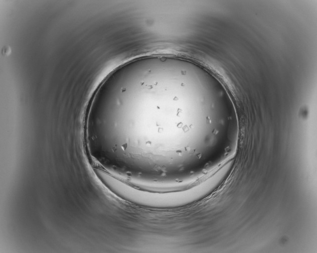 X0000099311483200805161401