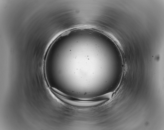 X0000099311484200805161401