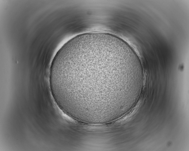 X0000099311486200805161401