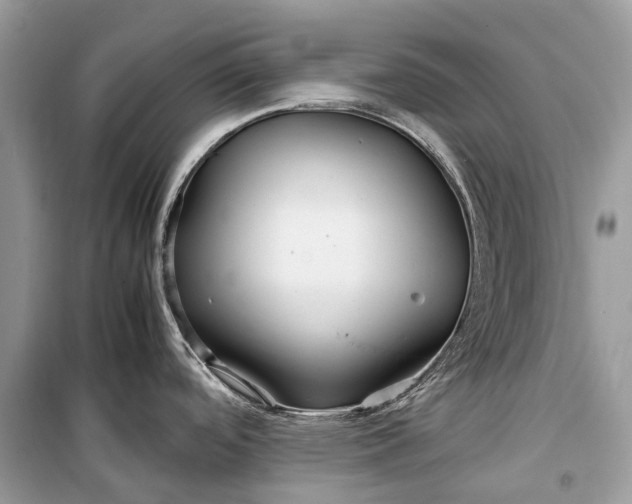 X0000099311488200805161401