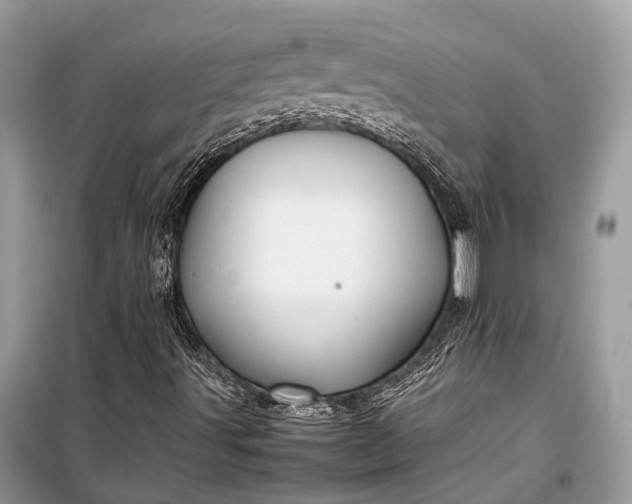 X0000099311491200805161400