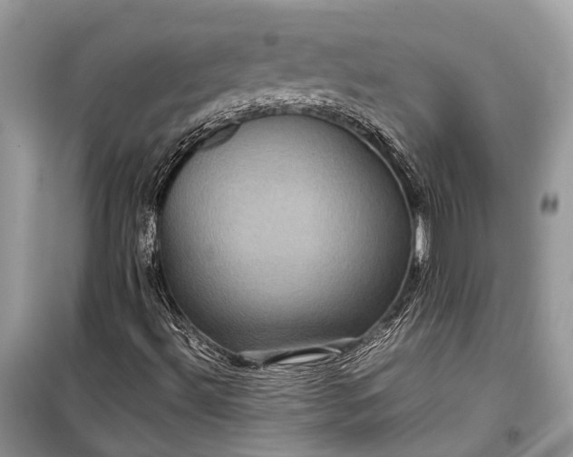 X0000099311492200805161400