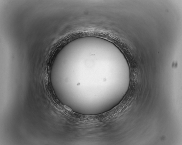 X0000099311493200805161400