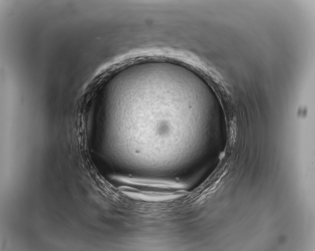 X0000099311494200805161400