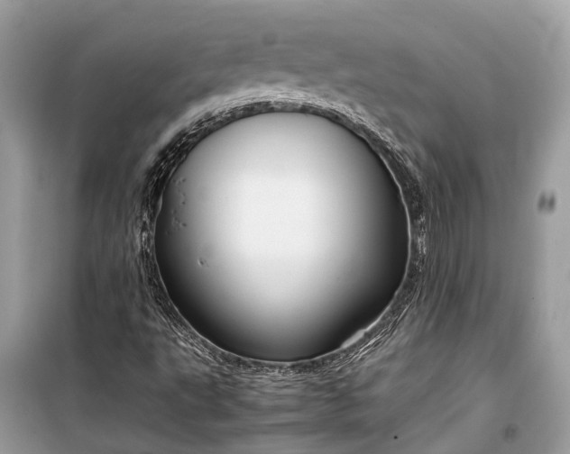 X0000099311495200805161400