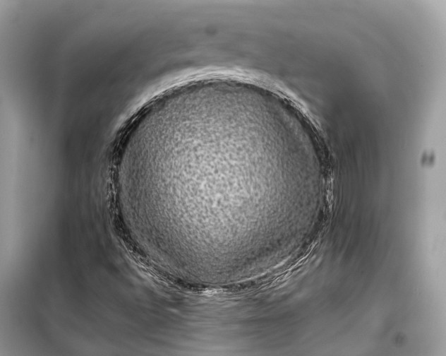 X0000099311496200805161400