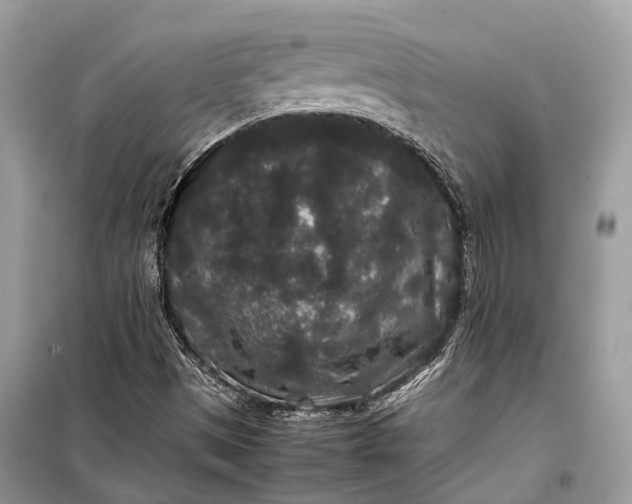 X0000099311497200805161400