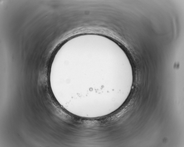 X0000099311498200805161400