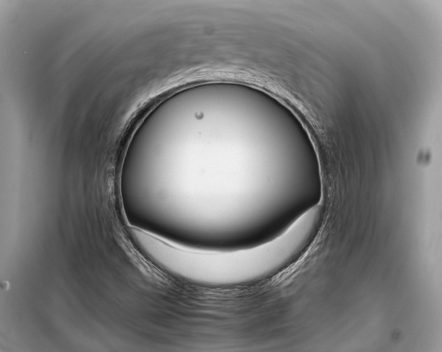 X0000099311499200805161400