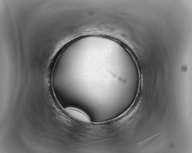 X0000099311501200805161400