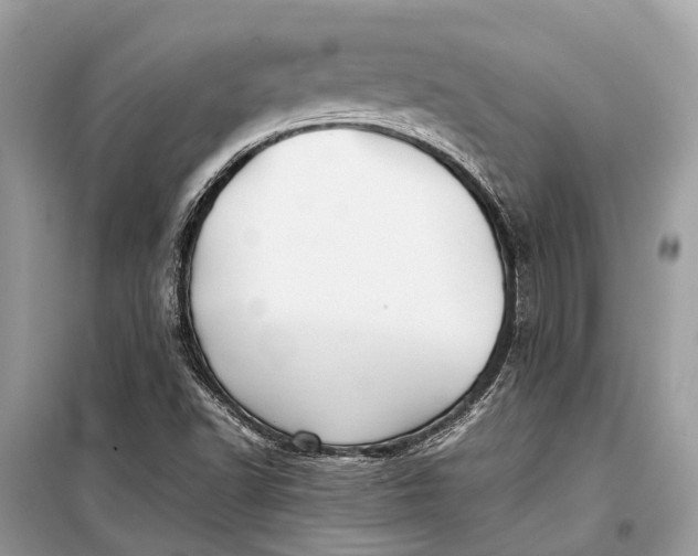 X0000099311502200805161400