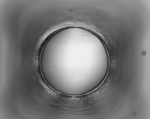 X0000099311503200805161400