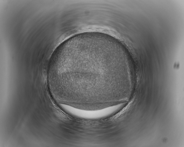 X0000099311505200805161400