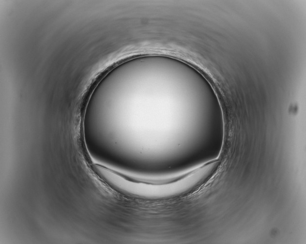 X0000099311507200805161400