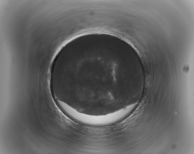 X0000099311508200805161400