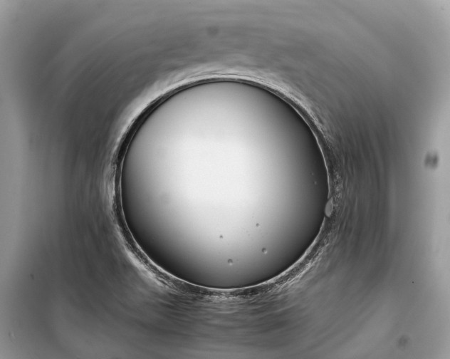 X0000099311511200805161400