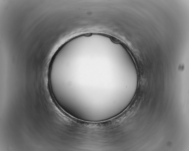 X0000099311512200805161400