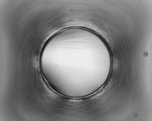 X0000099311513200805161400