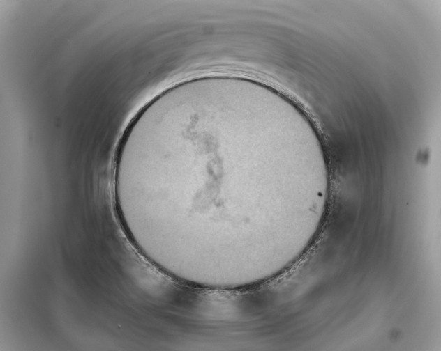 X0000099311514200805161400