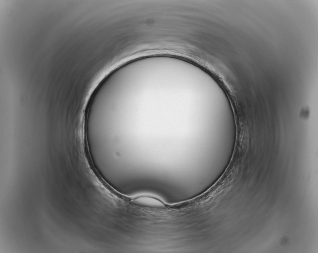 X0000099311516200805161400