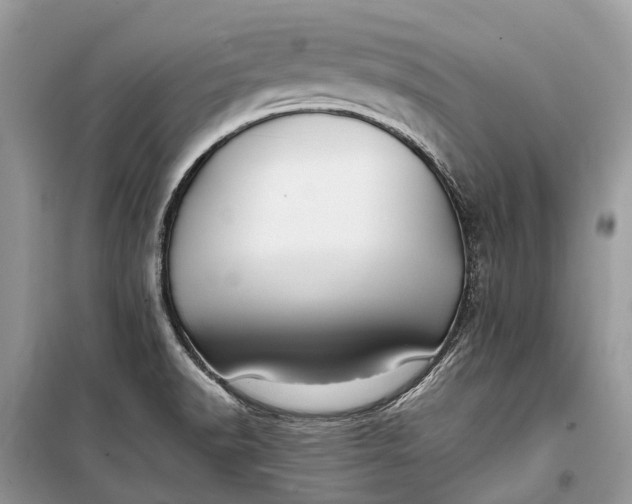 X0000099311518200805161400