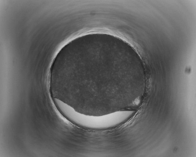 X0000099311519200805161400