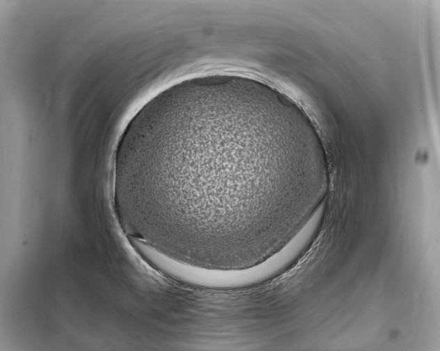 X0000099311520200805161400