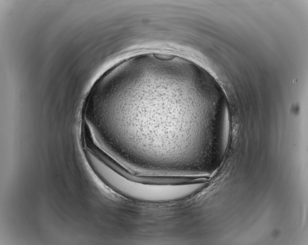 X0000099311523200805161400