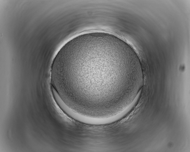 X0000099311524200805161401