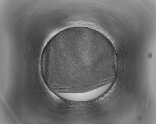 X0000099311525200805161401