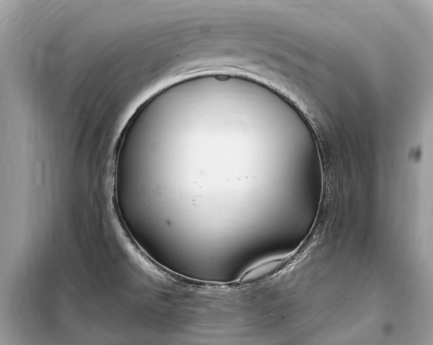 X0000099311526200805161401