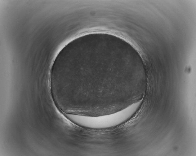 X0000099311527200805161401