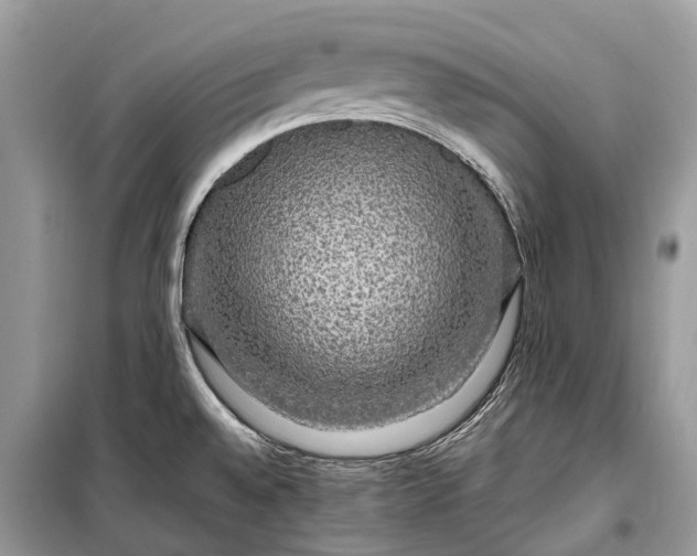 X0000099311528200805161401