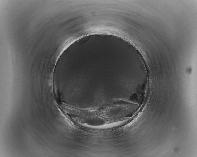 X0000099311529200805161401