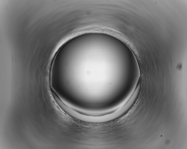 X0000099311530200805161401