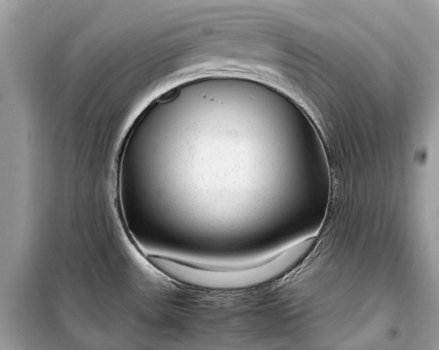 X0000099311531200805161401