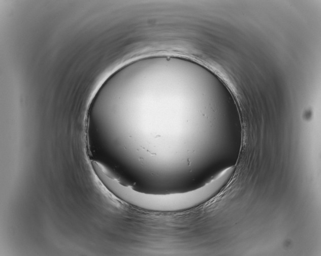 X0000099311532200805161401