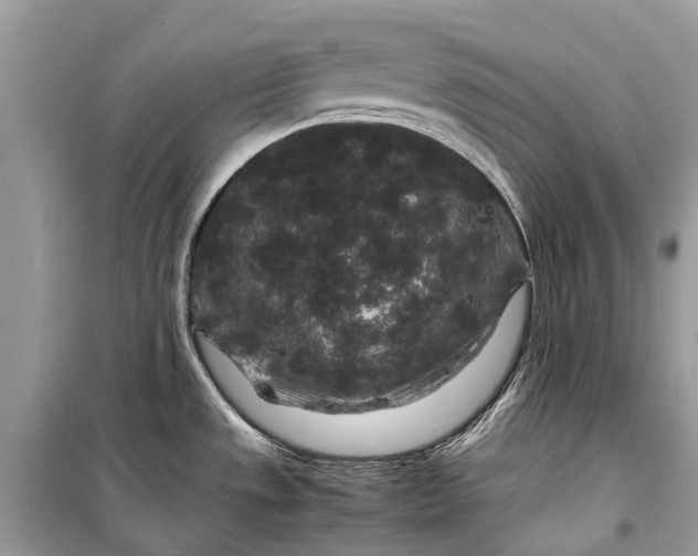 X0000099311533200805161401