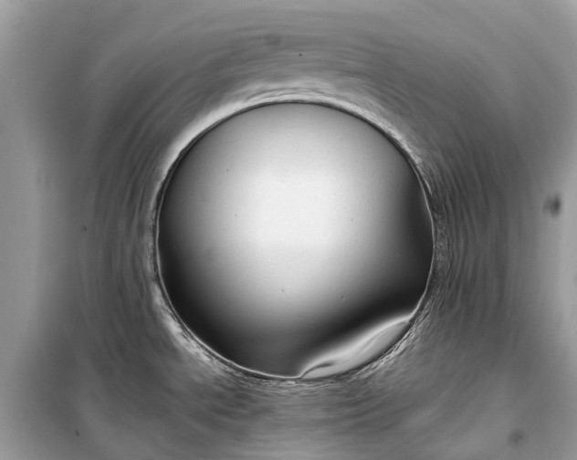 X0000099311534200805161401