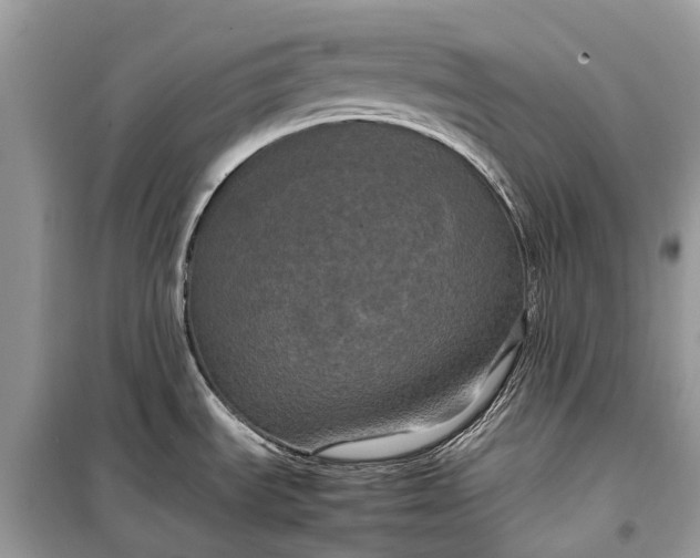 X0000099311535200805161401