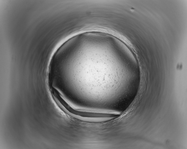 X0000099311536200805161401