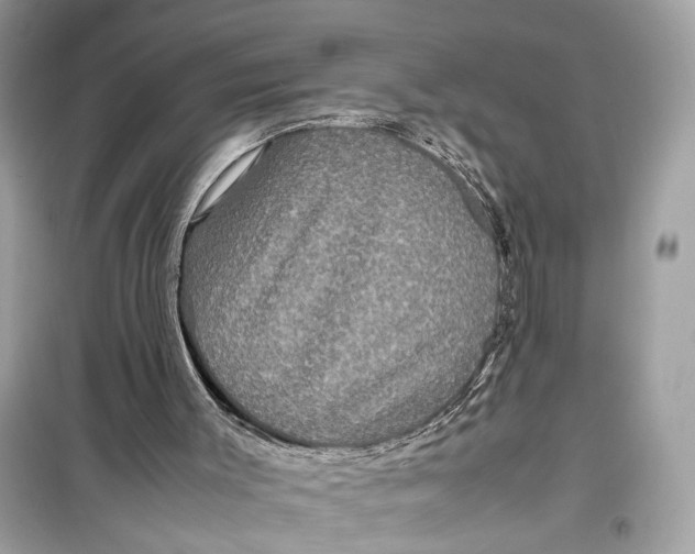 X0000099310003200805231413