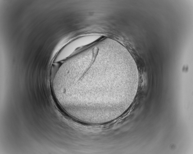 X0000099310004200805231413