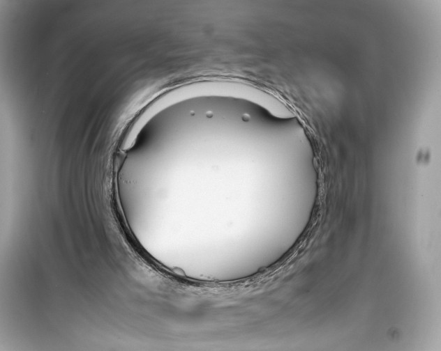 X0000099310005200805231413